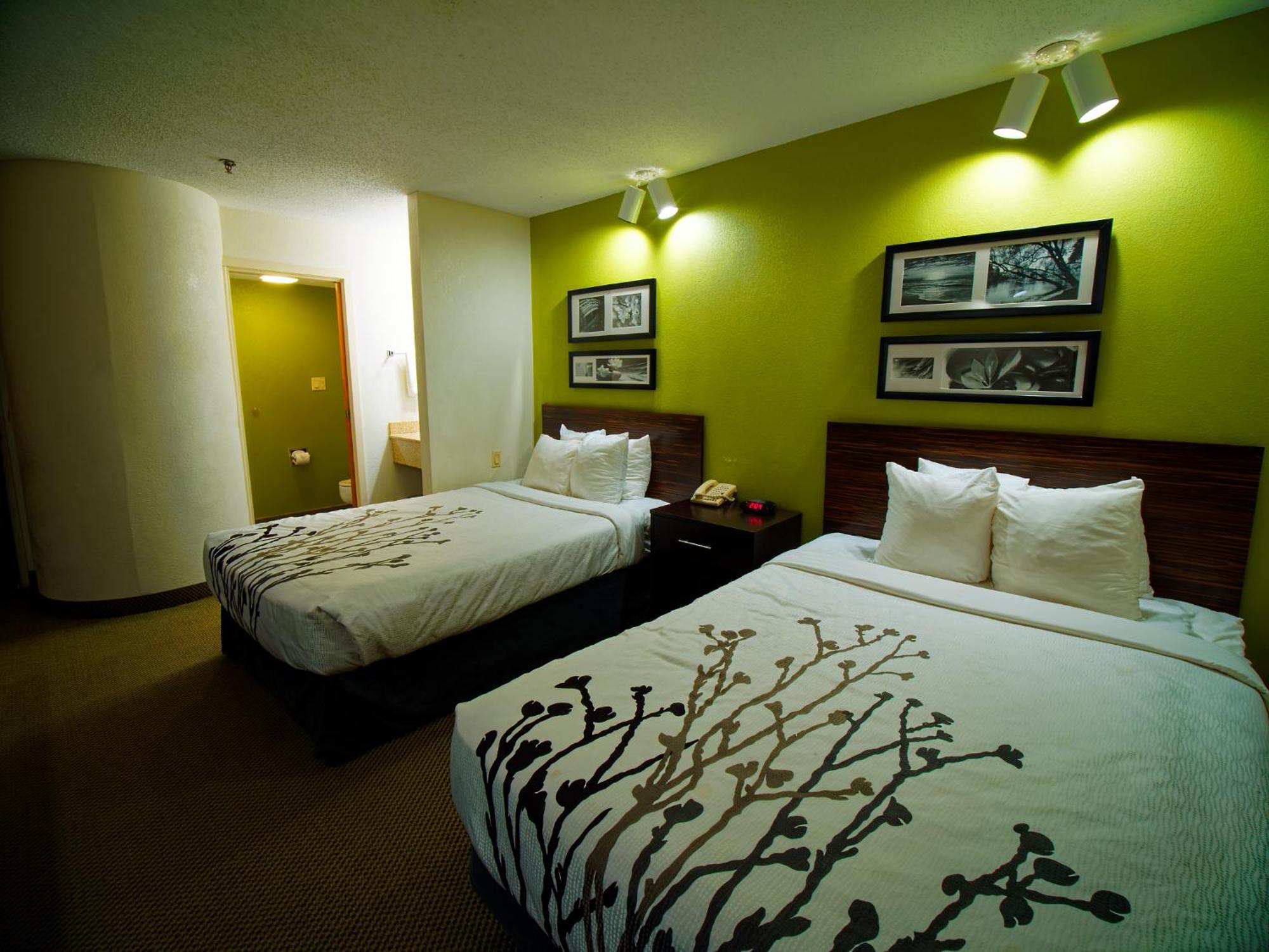 Double Room with Two Double Beds - Non-Smoking,1705873867:JPEG